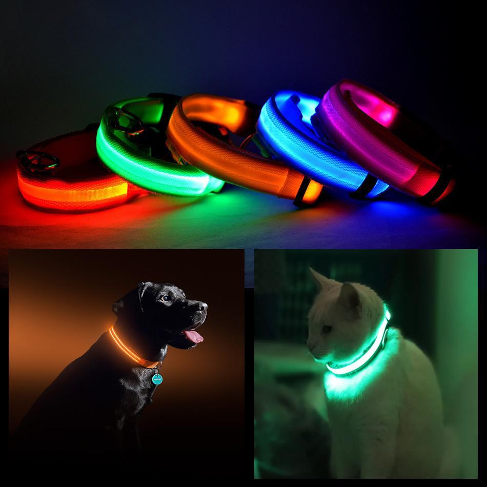 LED PET Safety Halo Style Collar SMALL