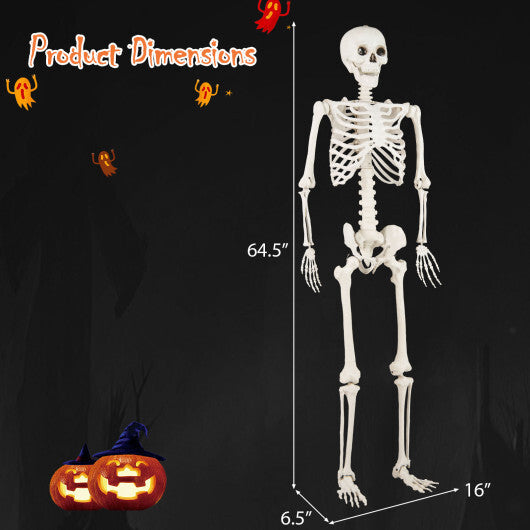 5.4 FT Halloween Skeleton Decoration Life Size Large Skeleton