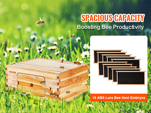VEVOR Beehive Deep Box Starter Kit